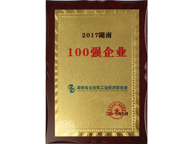 2017湖南100強(qiáng)企業(yè)